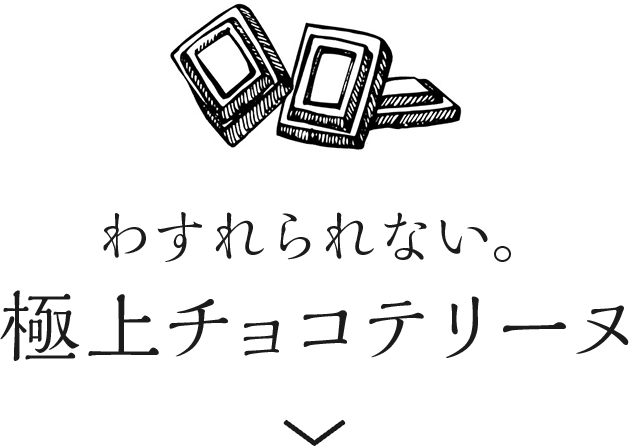 わすれられない。極上チョコテリーヌ